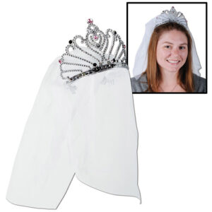 Bride to be Tiara & Veil