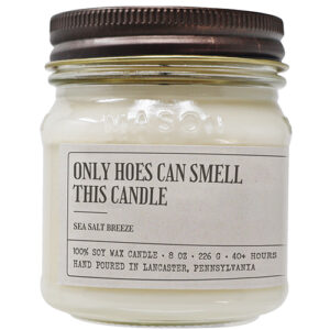 Only Hoes Can Smell This Candle - Funny Candle 8 oz Soy Wax