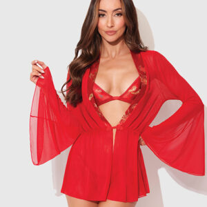 Dragon Sheer Mesh Robe w/Satin Triangle Top & G-String 3 pc Set - Red XL