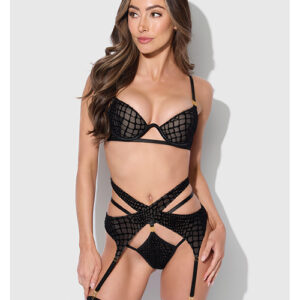 Snake Velvet-Burnout Mesh Bra, Garter, & Backless Hipster Set - Black MD