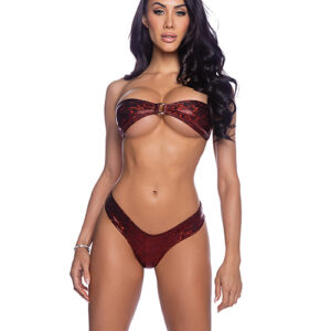 Shimmer Tie Back Tube Top w/Cheeky Panty 2 pc Set - Red O/S