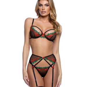 Cherry Delight Embroidered Lace and Mesh Underwire Bra w/Garter & G-String 3 pc Set - Black MD