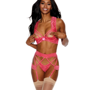 Lace Underwire Peek a Boo Bra, Garterbelt & G-String Coral MD